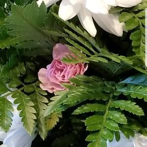 Meet your Posher, Debra